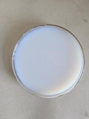Good price Styrene-Acrylic Emulsion with Superior Salt Spray & Early Water Resistance online
